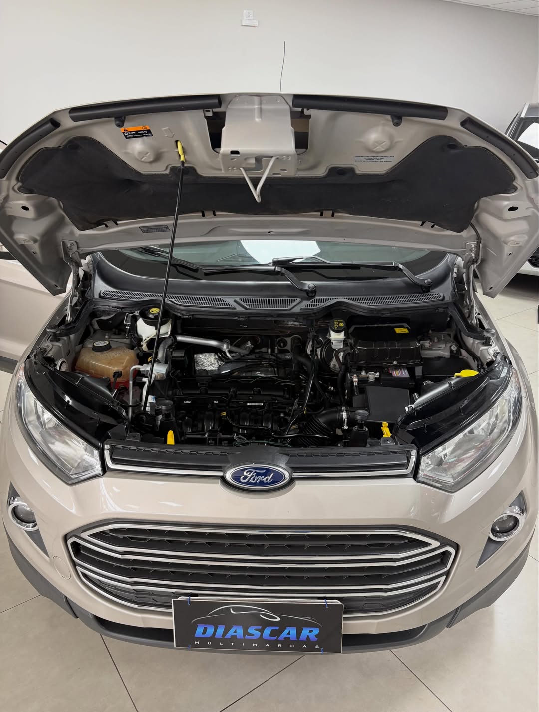 
Ford Ecosport Titanium 2014 full									