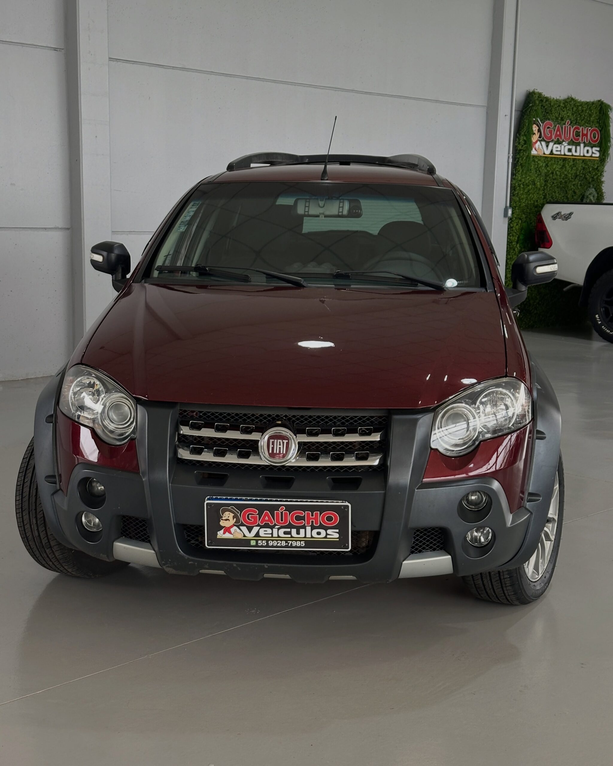 FIAT PALIO WEEKEND ADVENTURE 2010