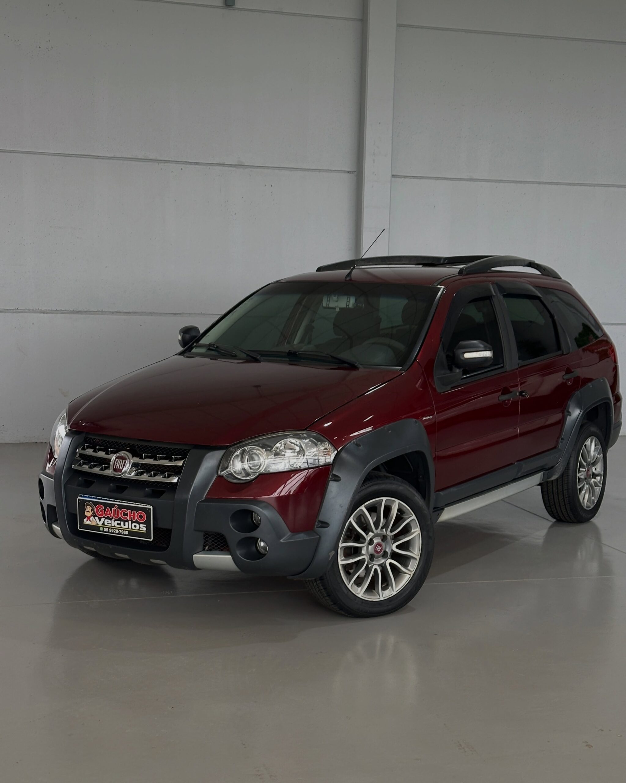 FIAT PALIO WEEKEND ADVENTURE 2010